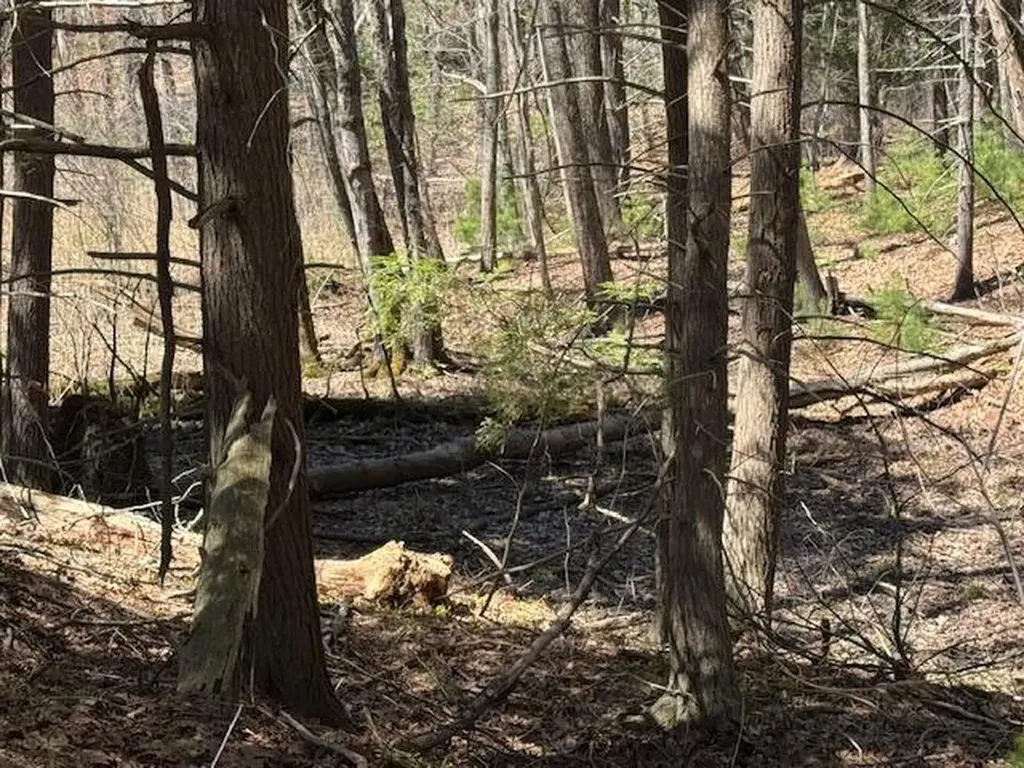 Lot 14 Bartlett Road Kittery ME 03905