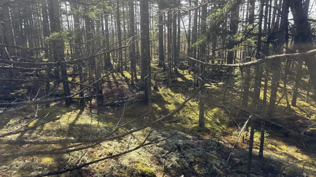 Lot 6&66 Woods Road Deer Isle ME 04627