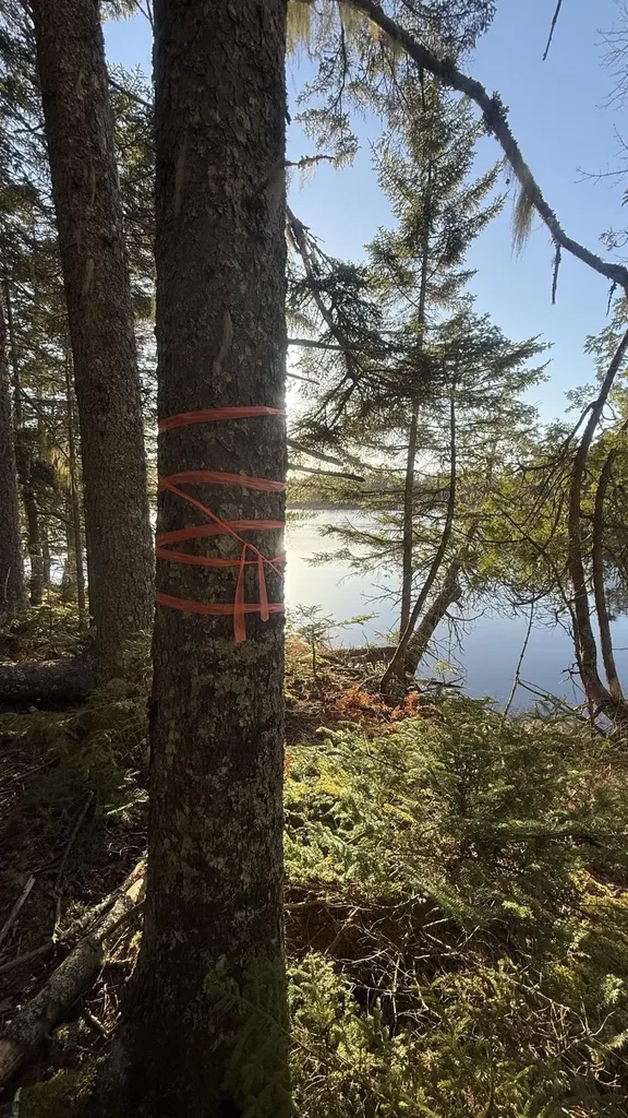 Lot 6&66 Woods Road Deer Isle ME 04627