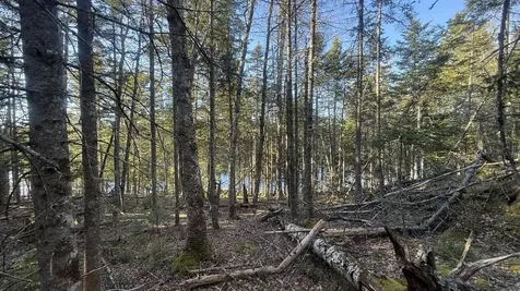 Lot 6&66 Woods Road Deer Isle ME 04627