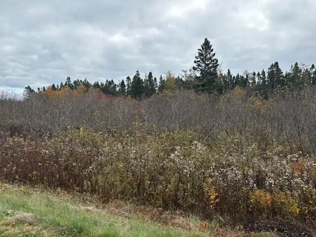 0 Boot Cove Road Lubec ME 04652