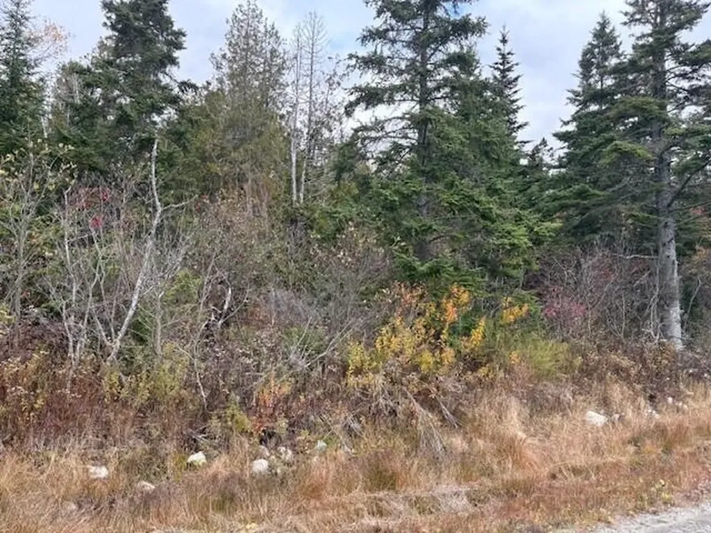 0 Boot Cove Road Lubec ME 04652