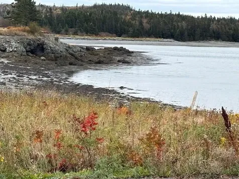 0 Boot Cove Road Lubec ME 04652