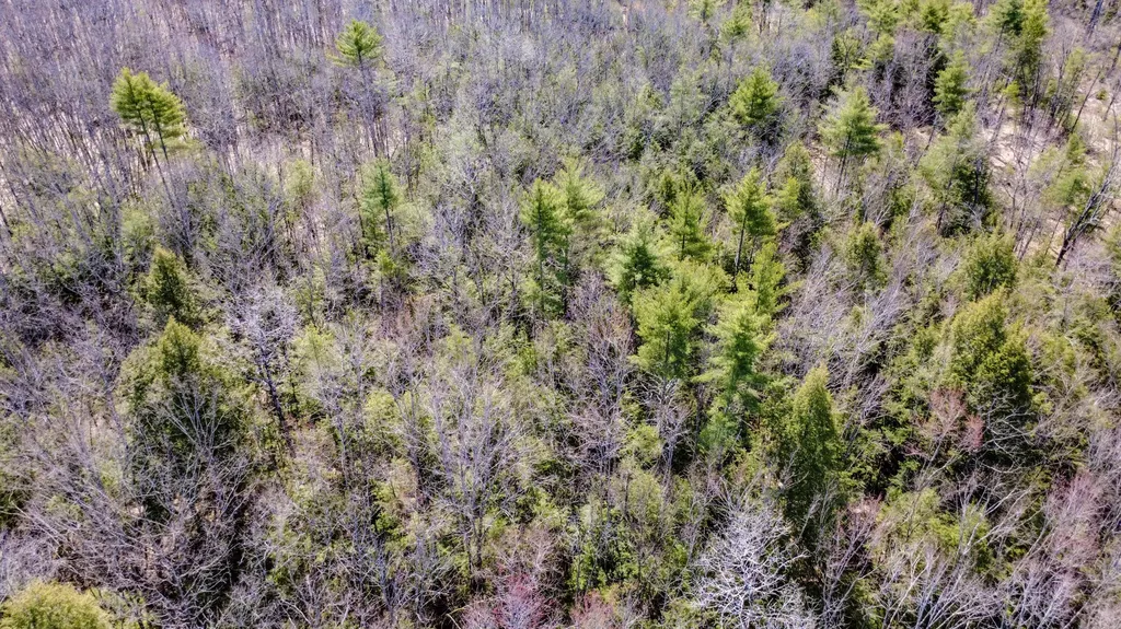 Map 007 Lot 038 Hollis ME 04042