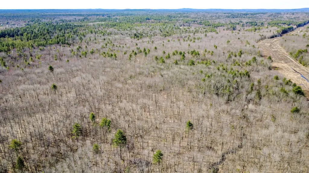 Map 007 Lot 038 Hollis ME 04042
