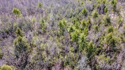 Map 007 Lot 038 Hollis ME 04042