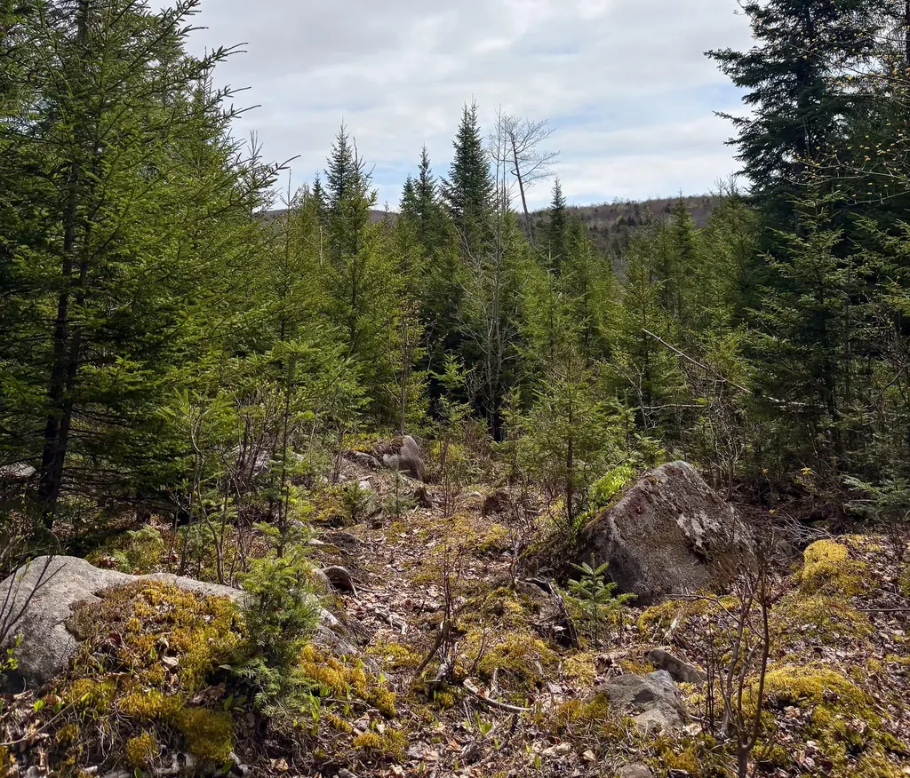 Lot 10 Morrison Brook Acres Oakfield ME 04763