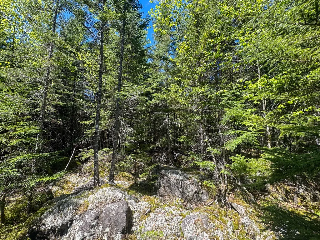 Lot 10 Morrison Brook Acres Oakfield ME 04763