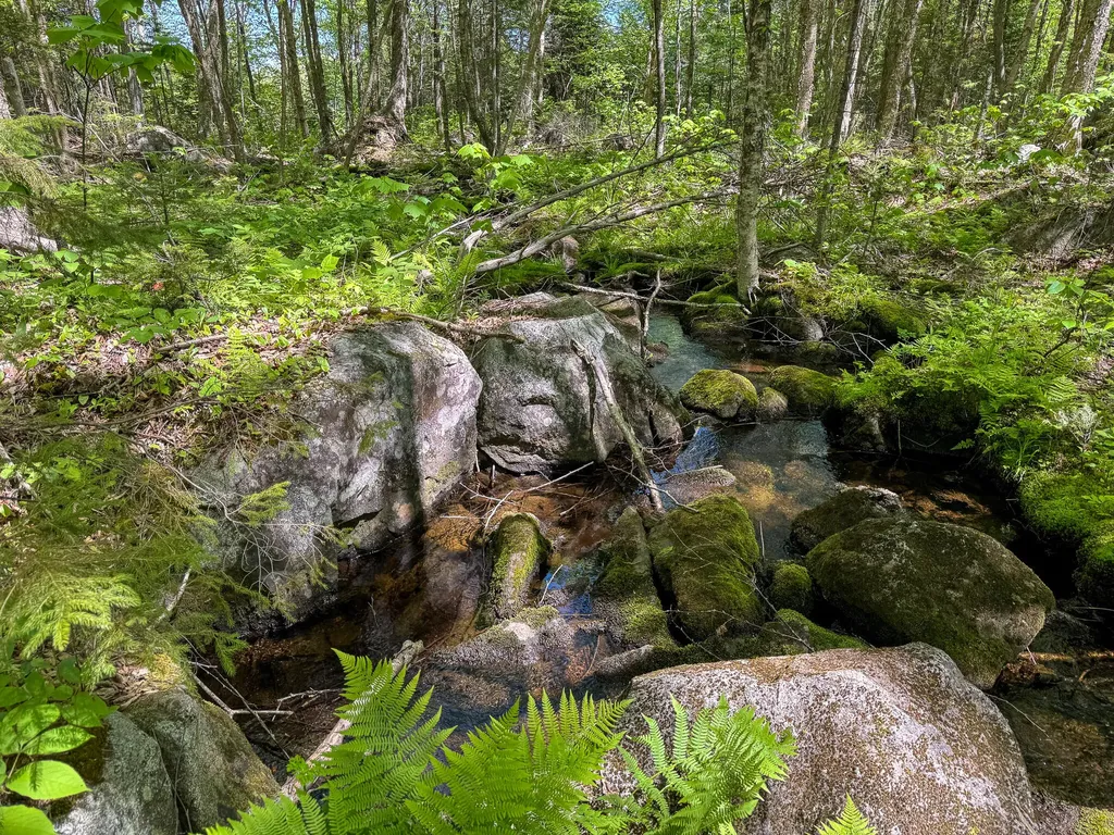 Lot 10 Morrison Brook Acres Oakfield ME 04763