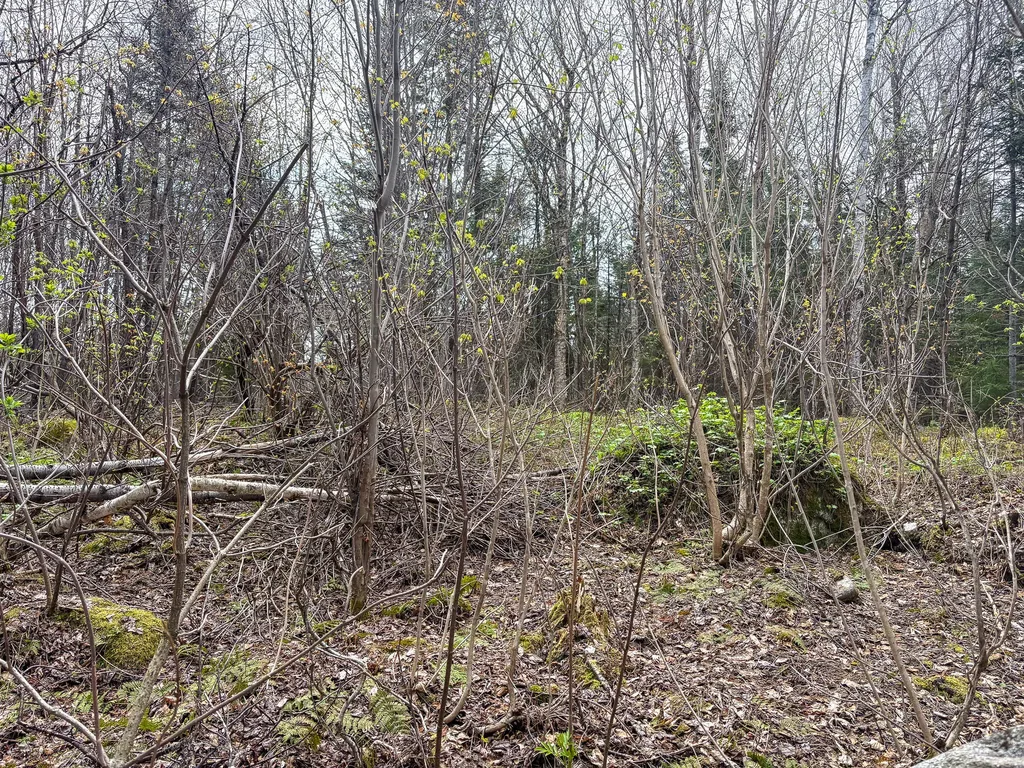 Lot 10 Morrison Brook Acres Oakfield ME 04763