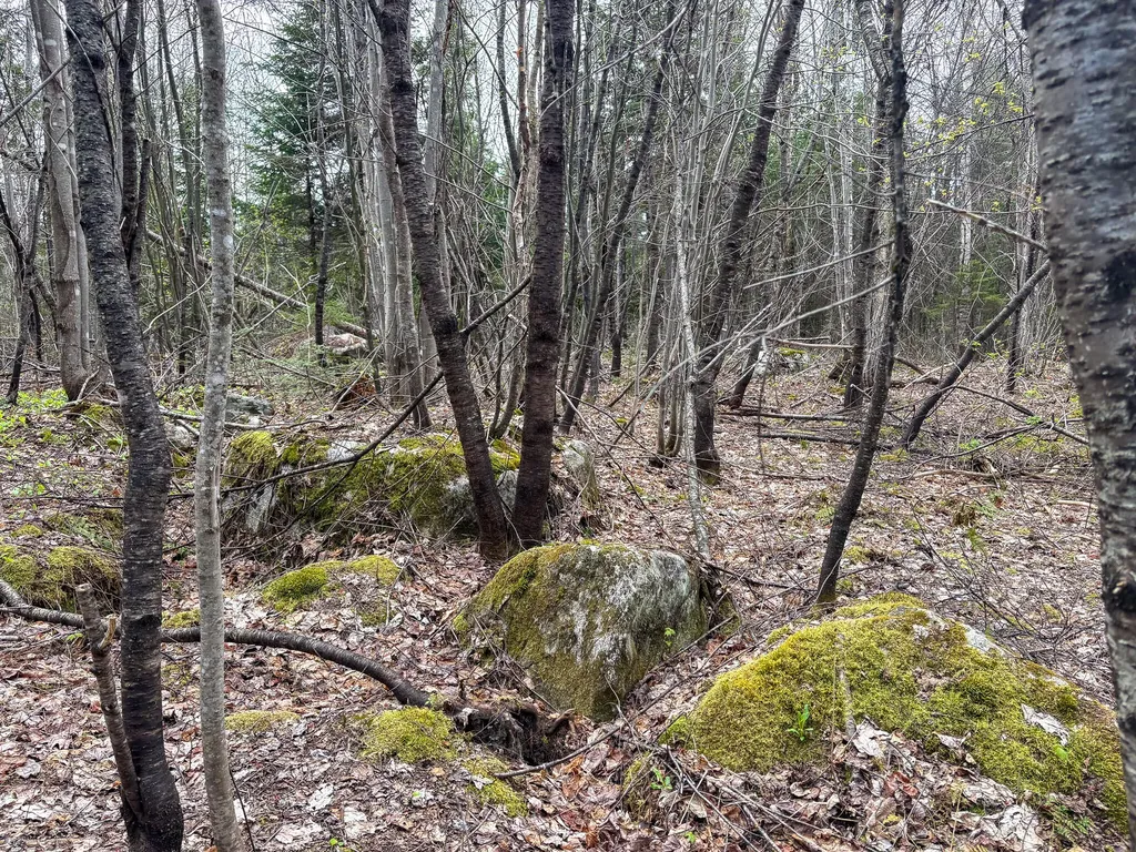 Lot 10 Morrison Brook Acres Oakfield ME 04763