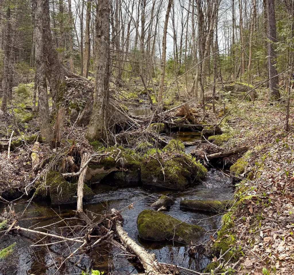 Lot 10 Morrison Brook Acres Oakfield ME 04763