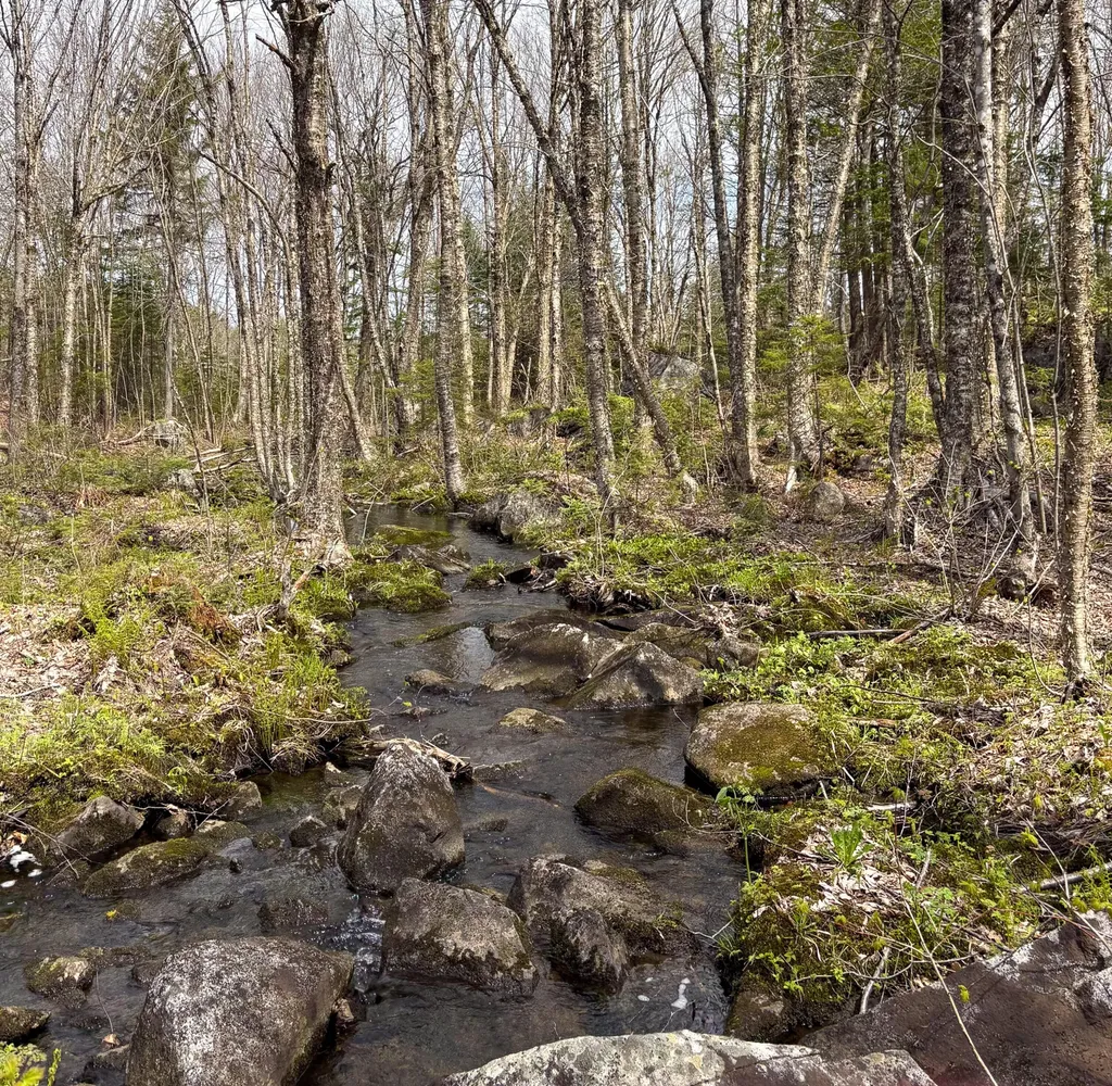 Lot 10 Morrison Brook Acres Oakfield ME 04763