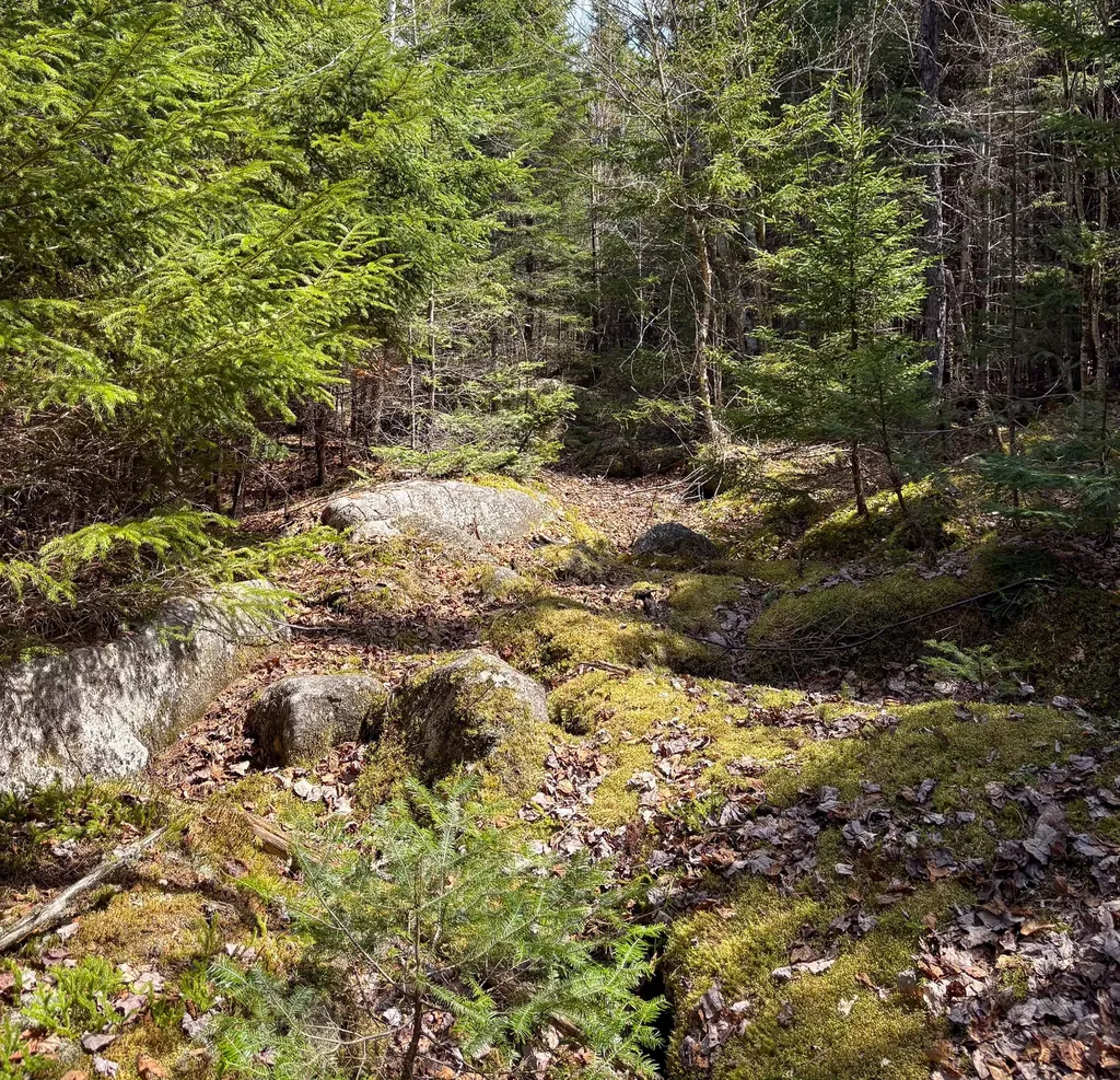 Lot 10 Morrison Brook Acres Oakfield ME 04763