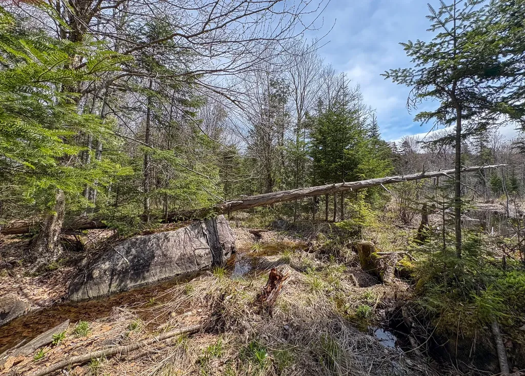 Lot 10 Morrison Brook Acres Oakfield ME 04763