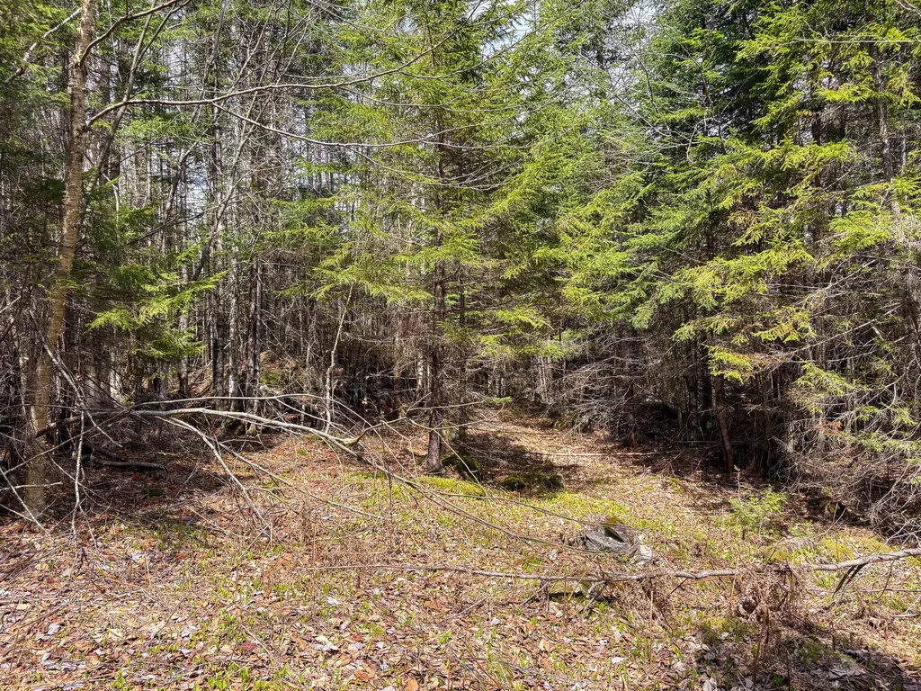 Lot 10 Morrison Brook Acres Oakfield ME 04763
