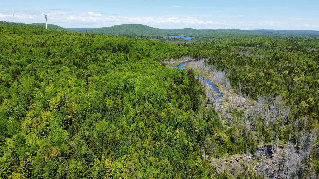 Lot 10 Morrison Brook Acres Oakfield ME 04763