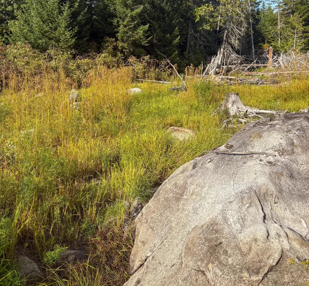 Lot 10 Morrison Brook Acres Oakfield ME 04763