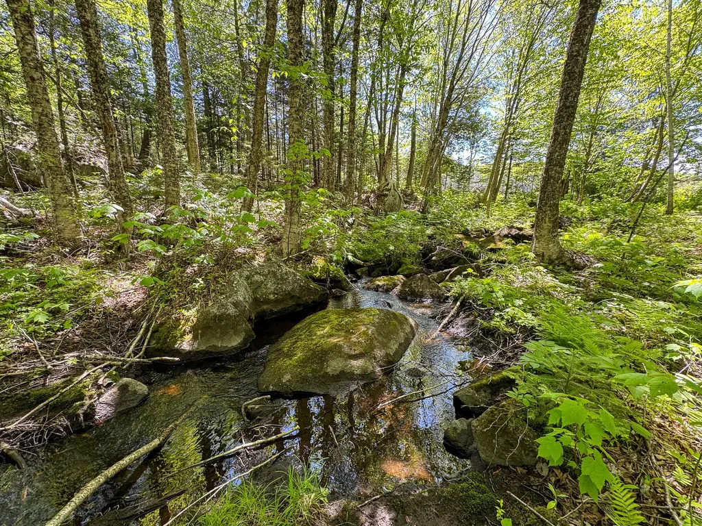 Lot 10 Morrison Brook Acres Oakfield ME 04763