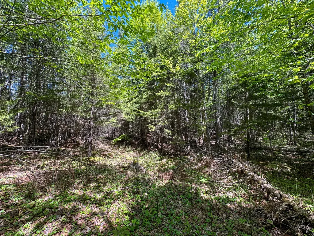 Lot 10 Morrison Brook Acres Oakfield ME 04763