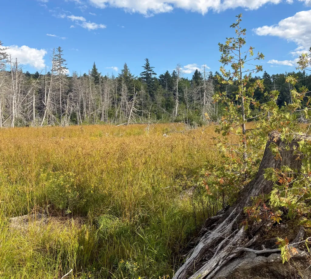 Lot 10 Morrison Brook Acres Oakfield ME 04763