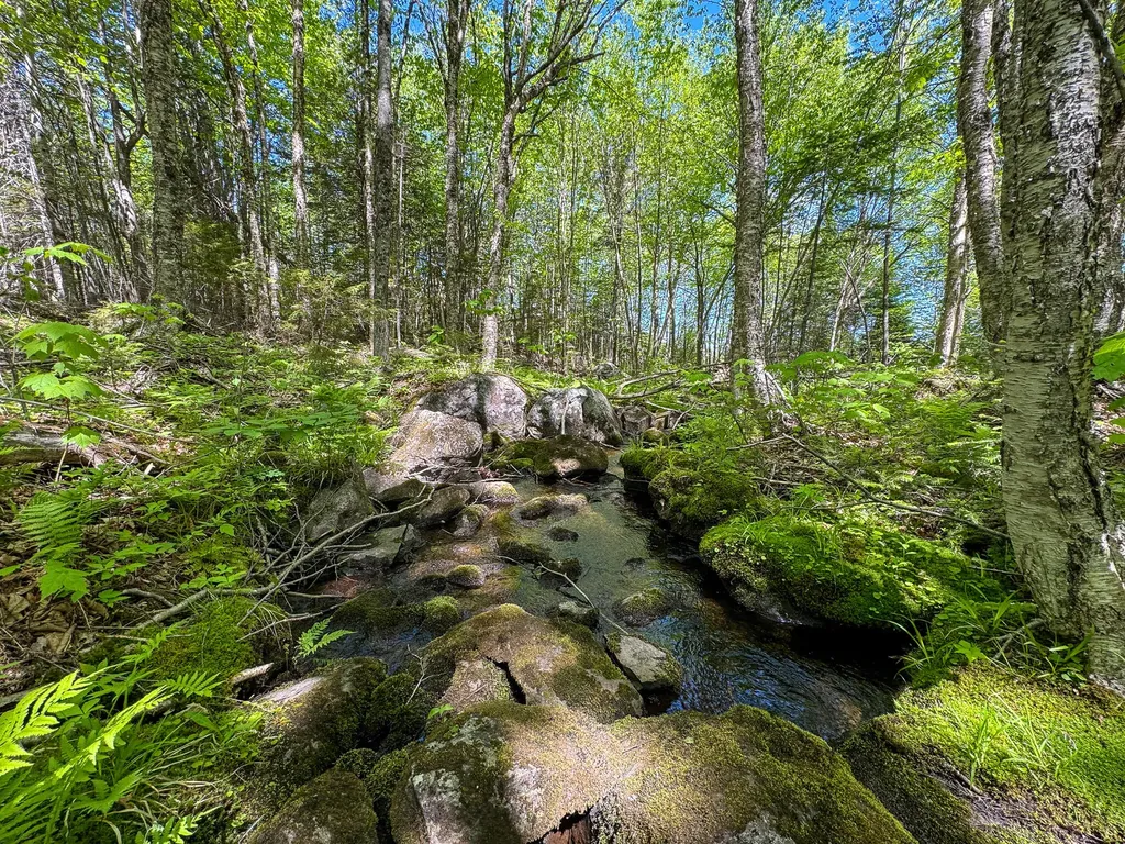 Lot 10 Morrison Brook Acres Oakfield ME 04763