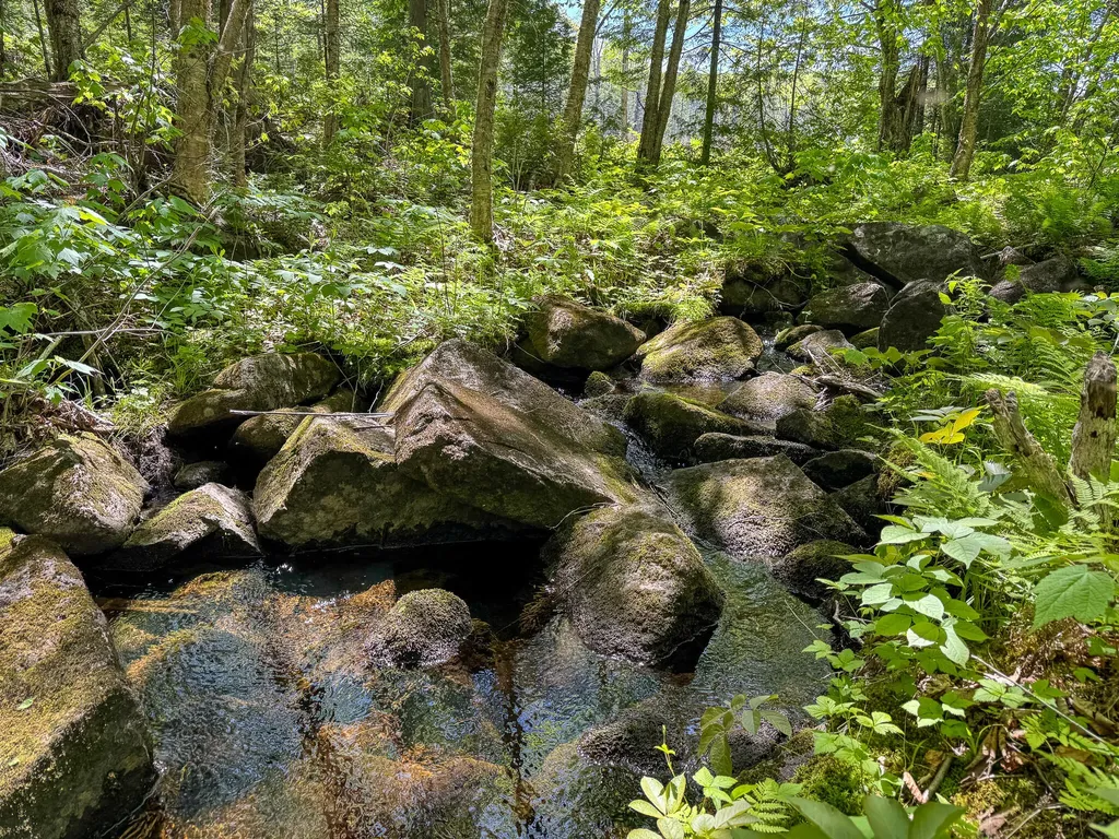 Lot 10 Morrison Brook Acres Oakfield ME 04763