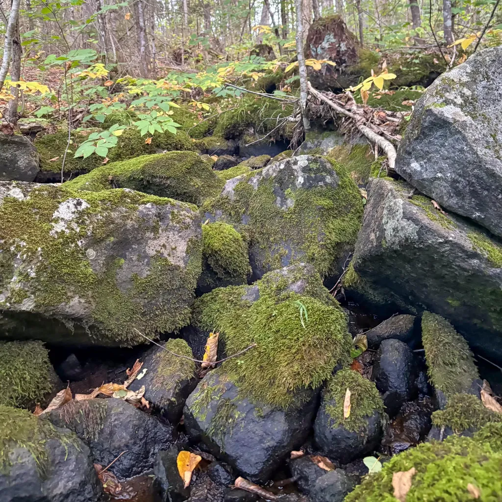 Lot 10 Morrison Brook Acres Oakfield ME 04763