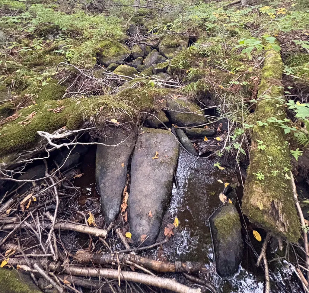Lot 10 Morrison Brook Acres Oakfield ME 04763