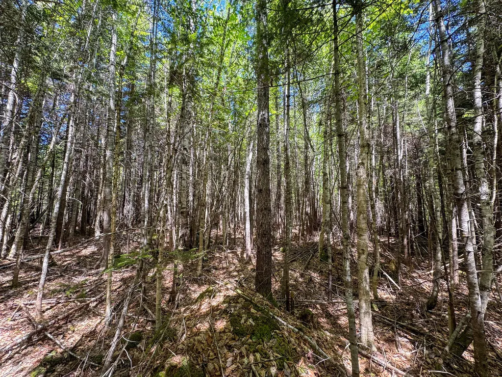 Lot 10 Morrison Brook Acres Oakfield ME 04763