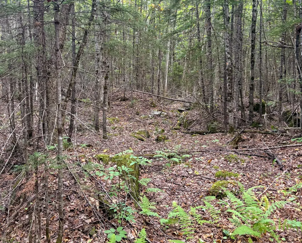 Lot 10 Morrison Brook Acres Oakfield ME 04763