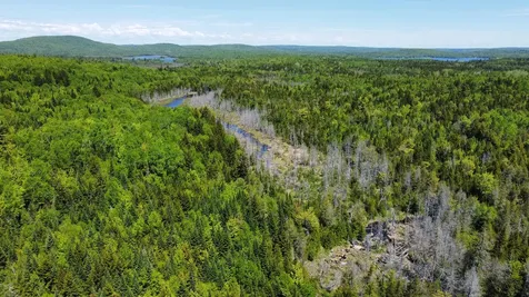 Lot 10 Morrison Brook Acres Oakfield ME 04763