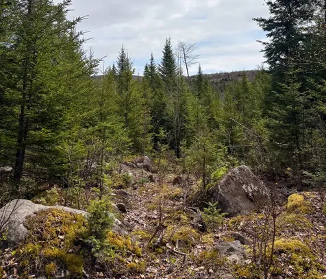 Lot 10 Morrison Brook Acres Oakfield ME 04763