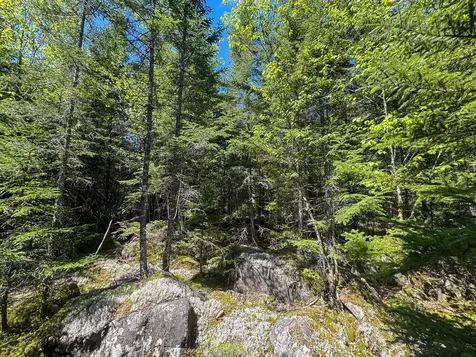 Lot 10 Morrison Brook Acres Oakfield ME 04763