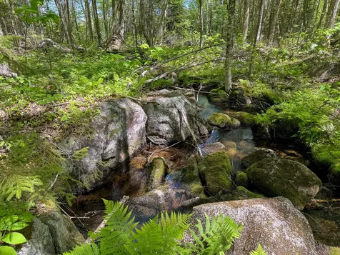Lot 10 Morrison Brook Acres Oakfield ME 04763