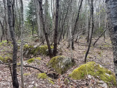 Lot 10 Morrison Brook Acres Oakfield ME 04763