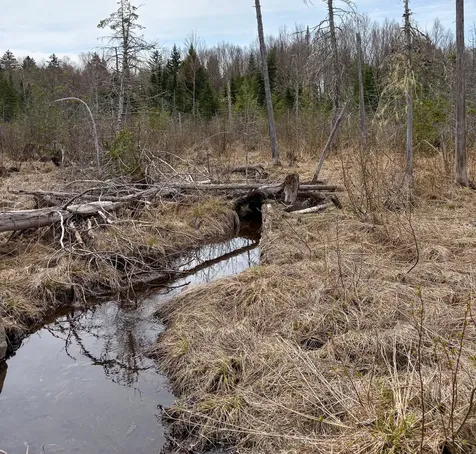 Lot 10 Morrison Brook Acres Oakfield ME 04763