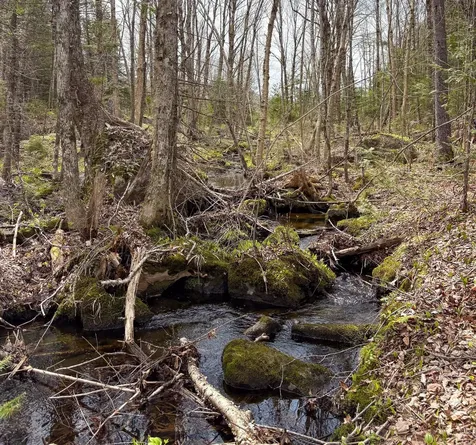 Lot 10 Morrison Brook Acres Oakfield ME 04763