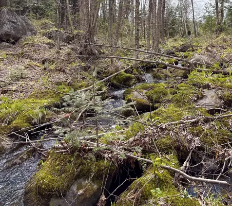 Lot 10 Morrison Brook Acres Oakfield ME 04763
