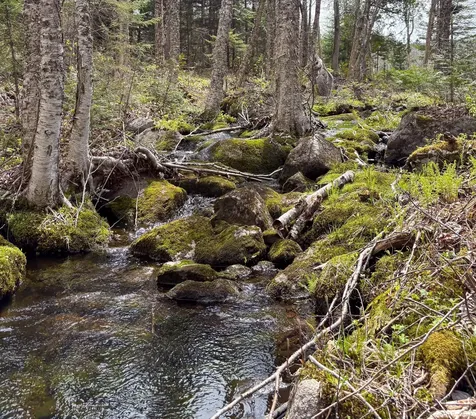 Lot 10 Morrison Brook Acres Oakfield ME 04763