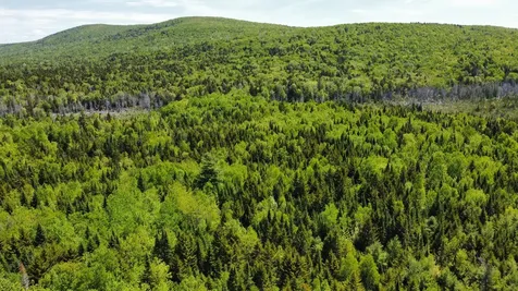 Lot 10 Morrison Brook Acres Oakfield ME 04763