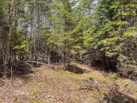 Lot 10 Morrison Brook Acres Oakfield ME 04763