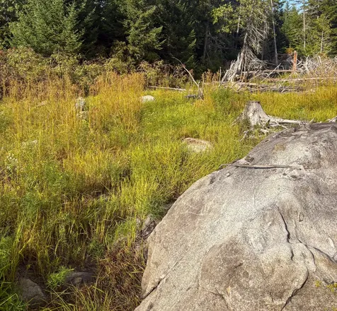 Lot 10 Morrison Brook Acres Oakfield ME 04763
