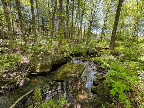 Lot 10 Morrison Brook Acres Oakfield ME 04763