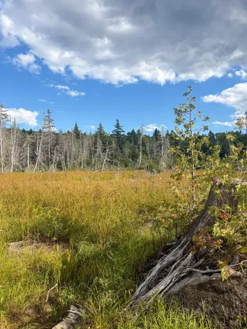 Lot 10 Morrison Brook Acres Oakfield ME 04763