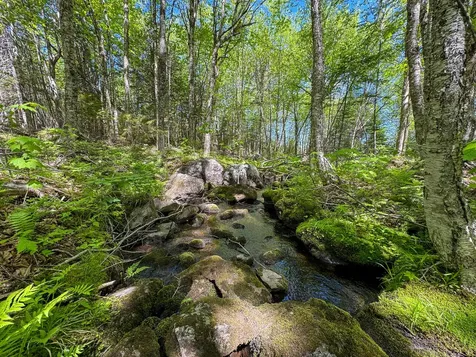 Lot 10 Morrison Brook Acres Oakfield ME 04763