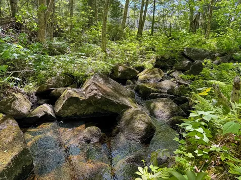 Lot 10 Morrison Brook Acres Oakfield ME 04763