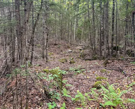 Lot 10 Morrison Brook Acres Oakfield ME 04763