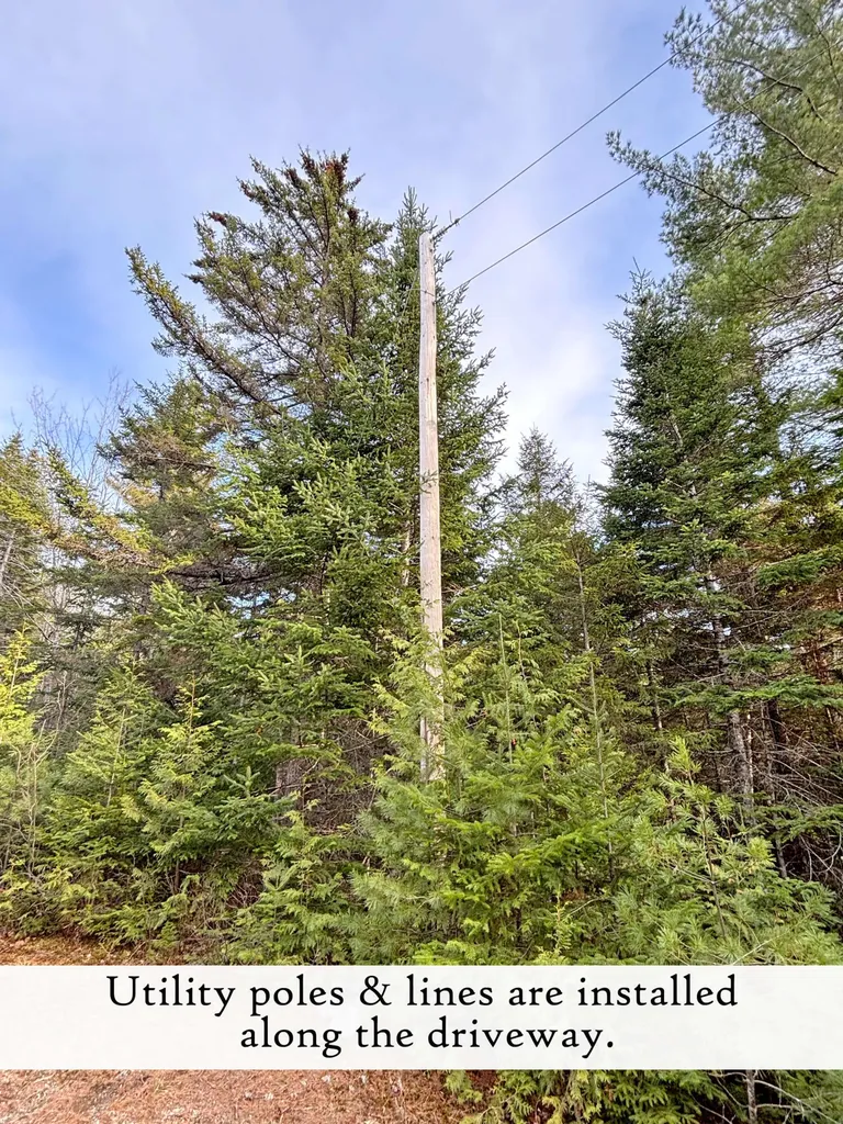 80 Pickeral Cove Way Ellsworth ME 04605