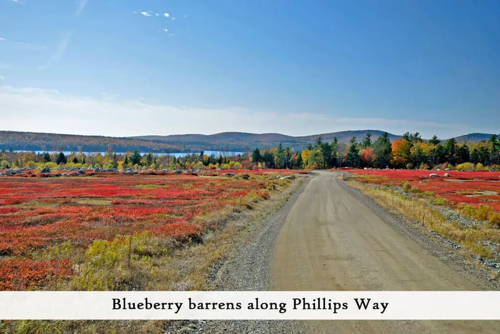 80 Pickeral Cove Way Ellsworth ME 04605